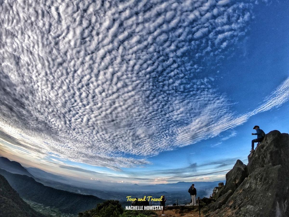Nachelle Homestay Берастаги Экстерьер фото