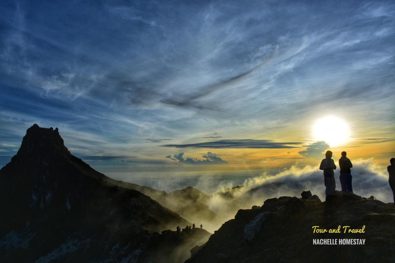 Nachelle Homestay Берастаги Экстерьер фото