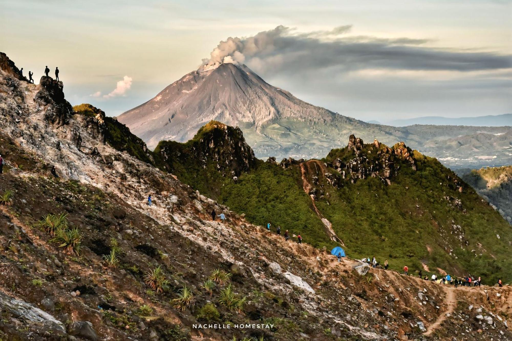 Nachelle Homestay Берастаги Экстерьер фото